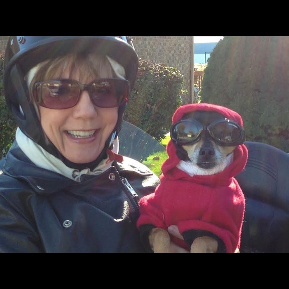 Meet your Posher, Diane - Picture 6 of 7